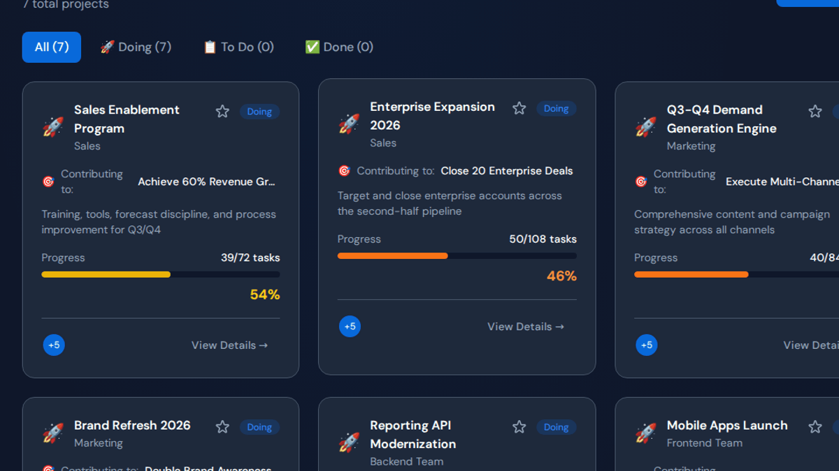 Project portfolio risk